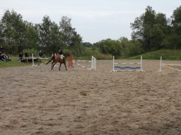 img_9716_web